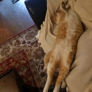 Meet your Posher, Charles